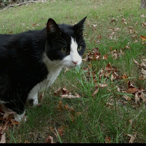 Meet your Posher, Leyla - Picture 2 of 6